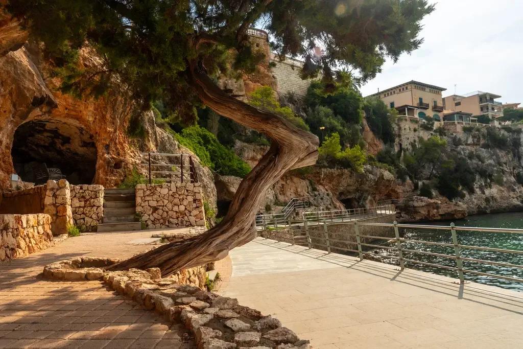 porto-cristo-wochenmarkt