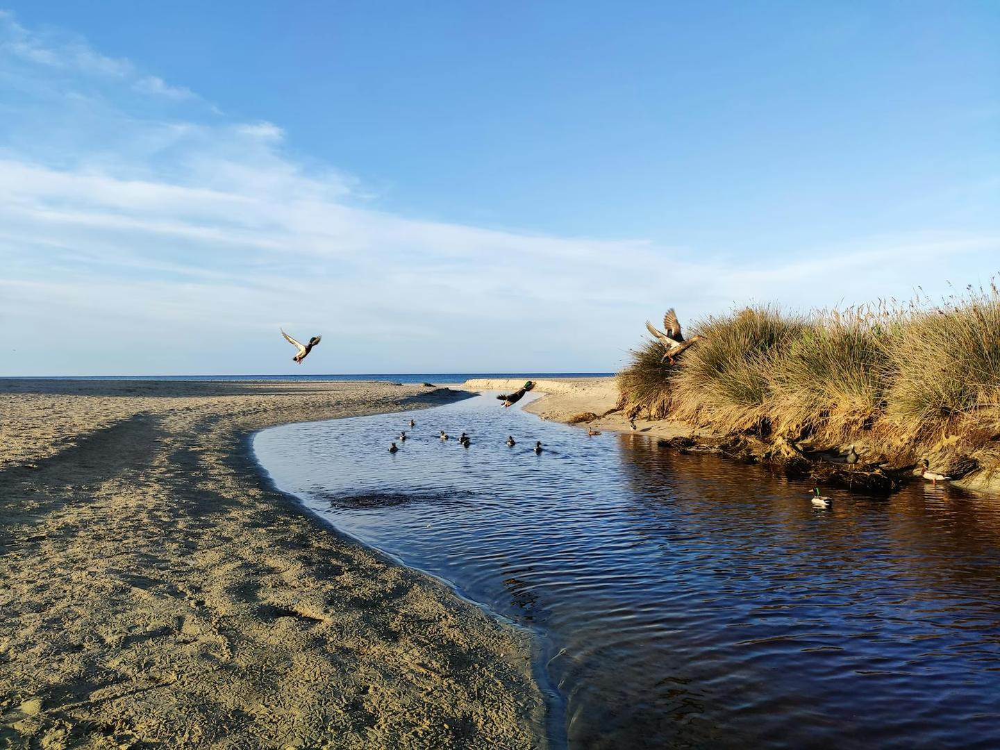Son Parc Beach Club – Entspannung an Menorcas Küste